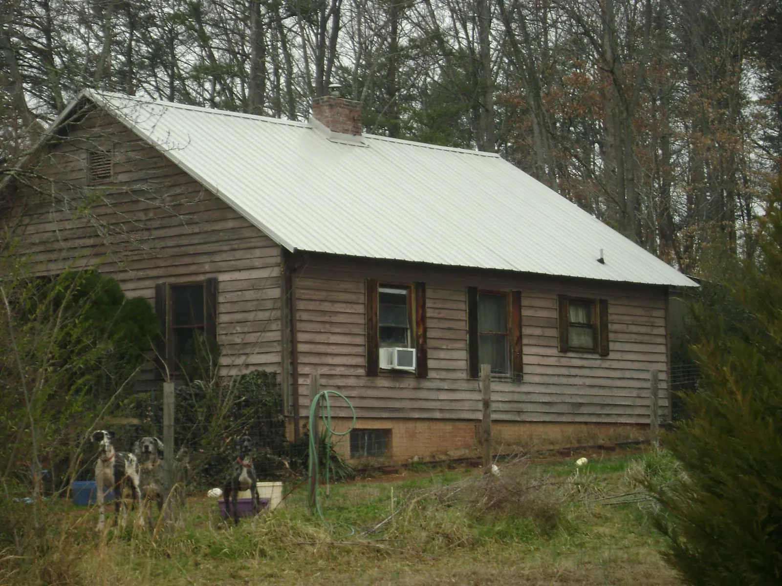 White metal roof on an old wood sided farmhouse, from a Asphalt Shingle Roof Repair job in Fort Covington